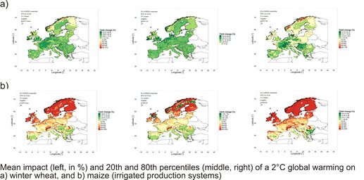 Impact on wheat and maize